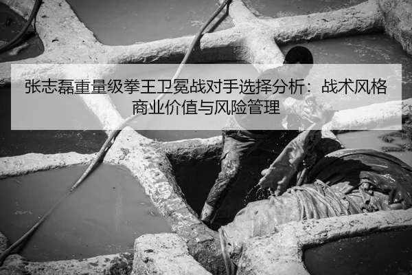 张志磊重量级拳王卫冕战对手选择分析：战术风格商业价值与风险管理