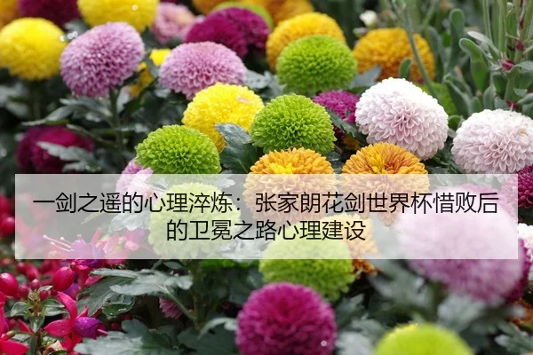 yi-jian-zhi-yao-de-xin-li-cui-lian-zhang-jia-lang-hua-jian-shi-jie-bei-xi-bai-hou-de-wei-mian-zhi-lu-xin-li-jian-she-2-938.jpg