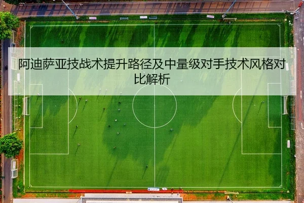 阿迪萨亚技战术提升路径及中量级对手技术风格对比解析